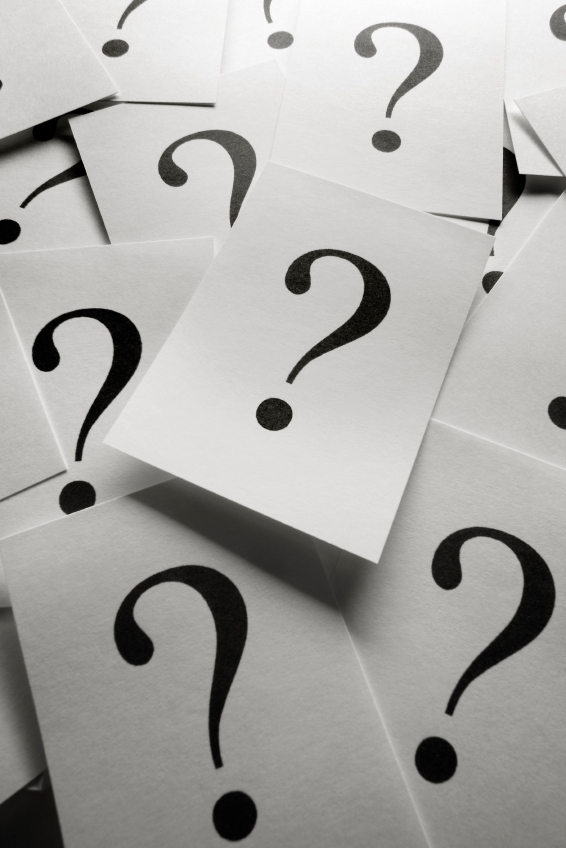 Top $$ trivia