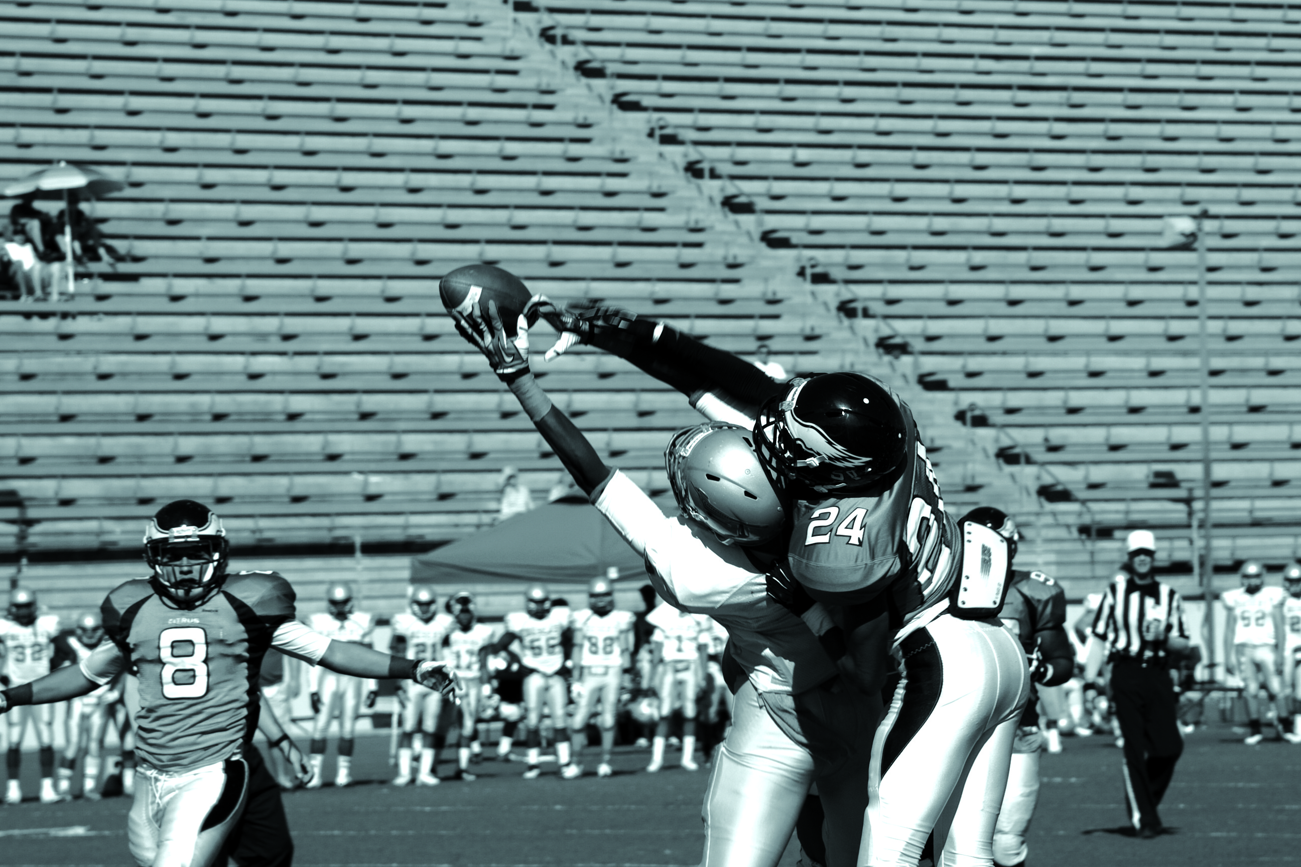Owls finish strong and continue to look forward