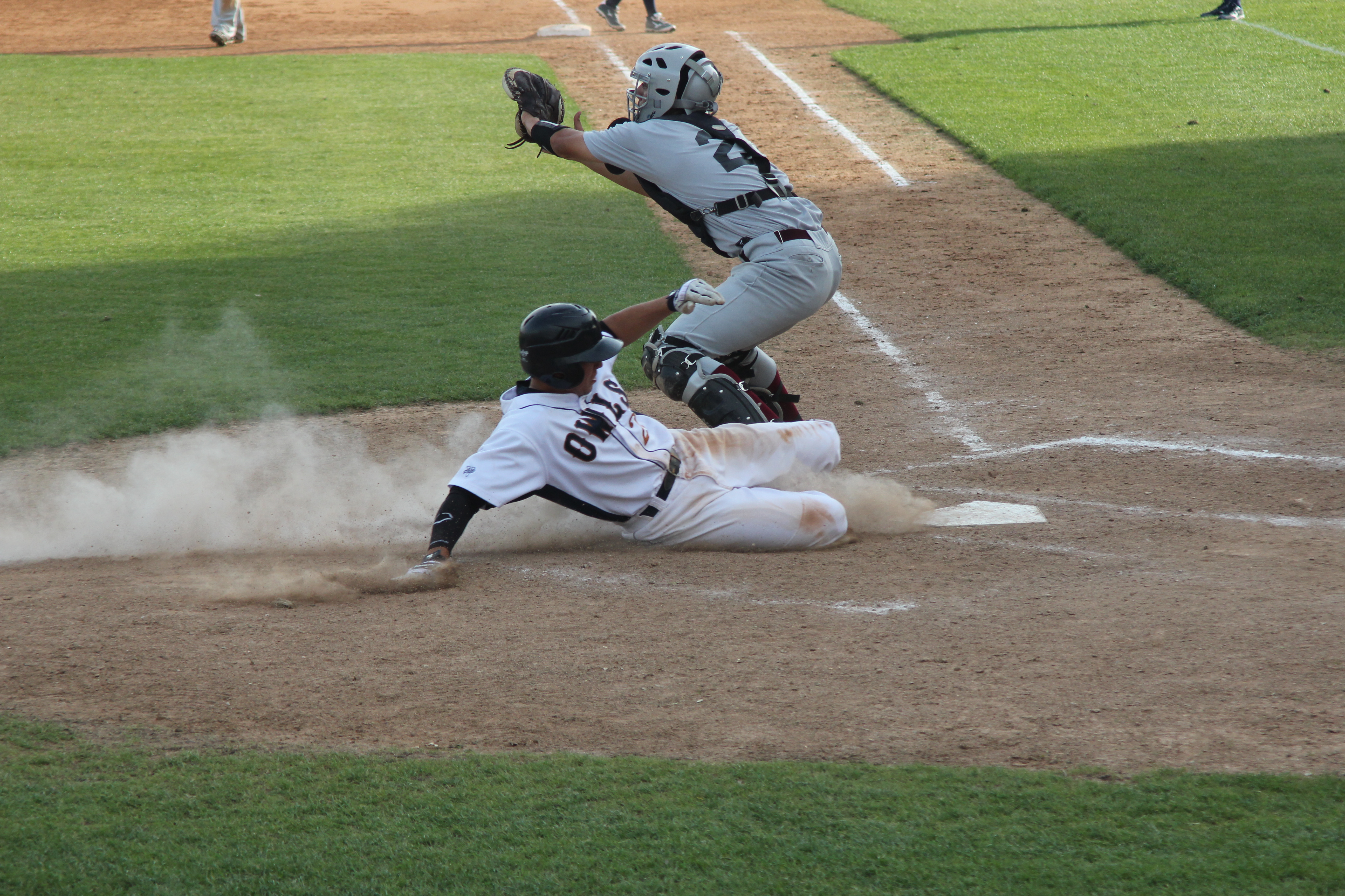 Owls hoping to find success on the diamond