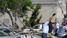 Approximately 40 minutes ago a tree in the S8 parking lot fell on top of a Citrus students' vehicle. The majority of the damage was to the driver's side rear view mirror as well as the windshield. Insurance information was exchanged. Updates will be posted as more information is gathered.  The vehicle's owner declined to comment.