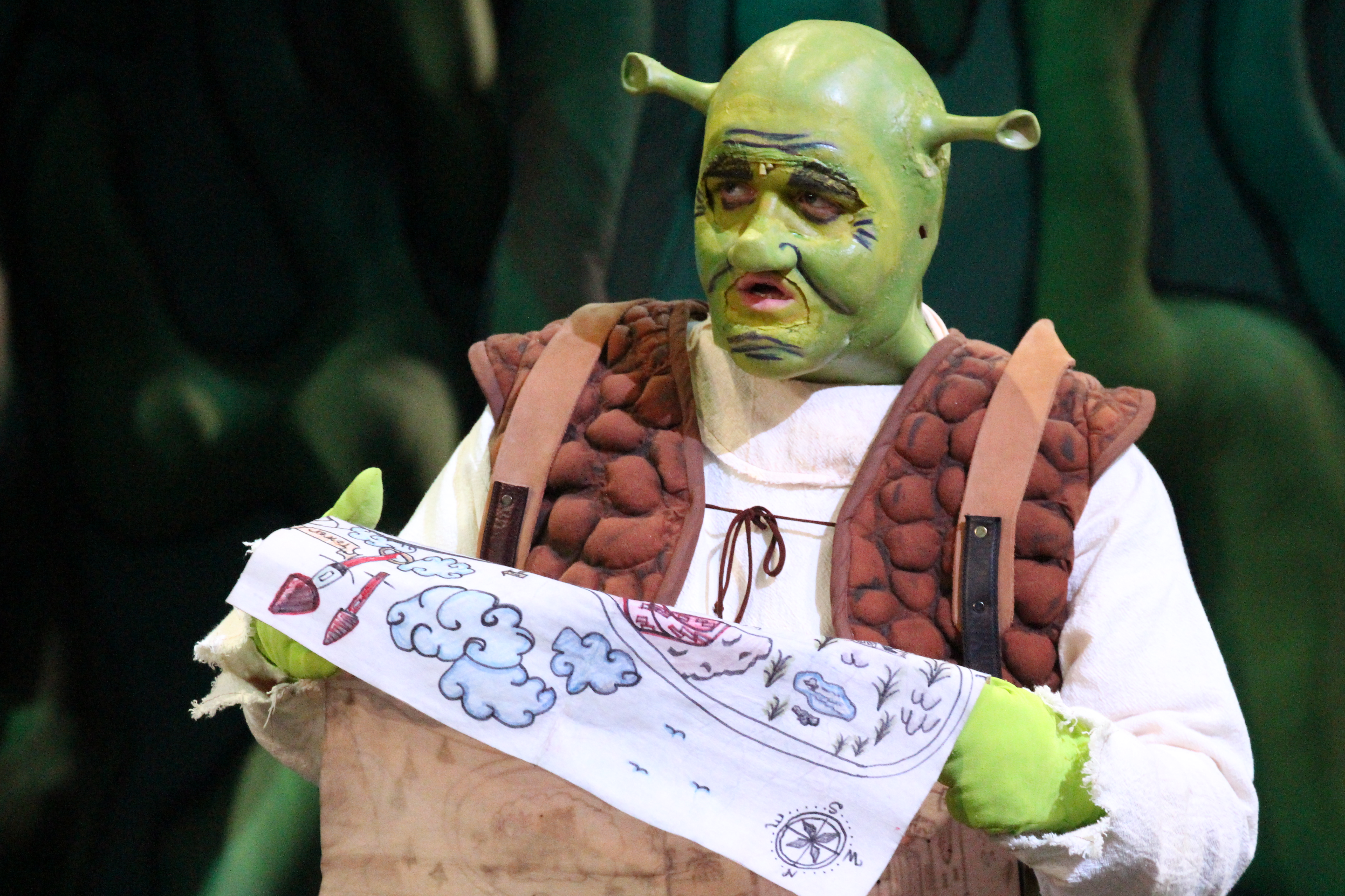 Shrek the musical gets a standing ovation