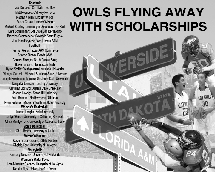 Owls flying away with scholarships