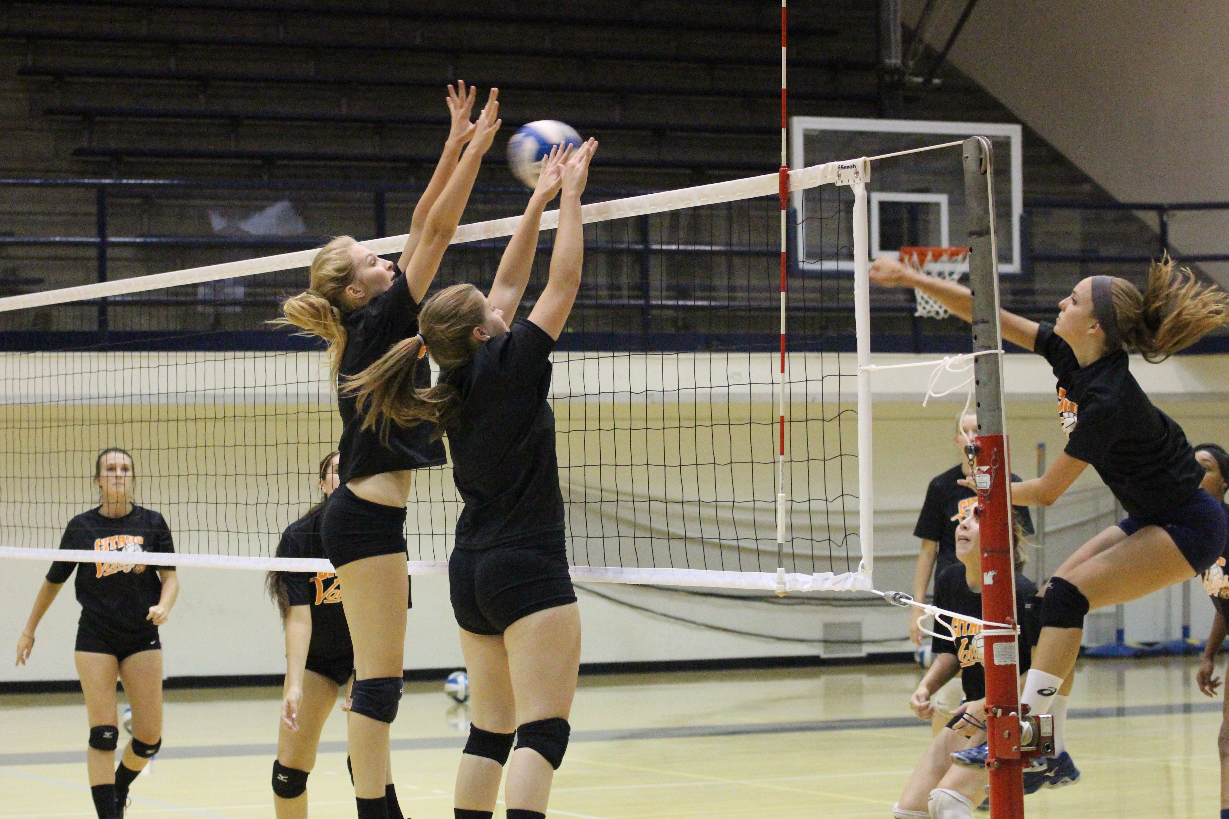 Volleyball team kicks off season
