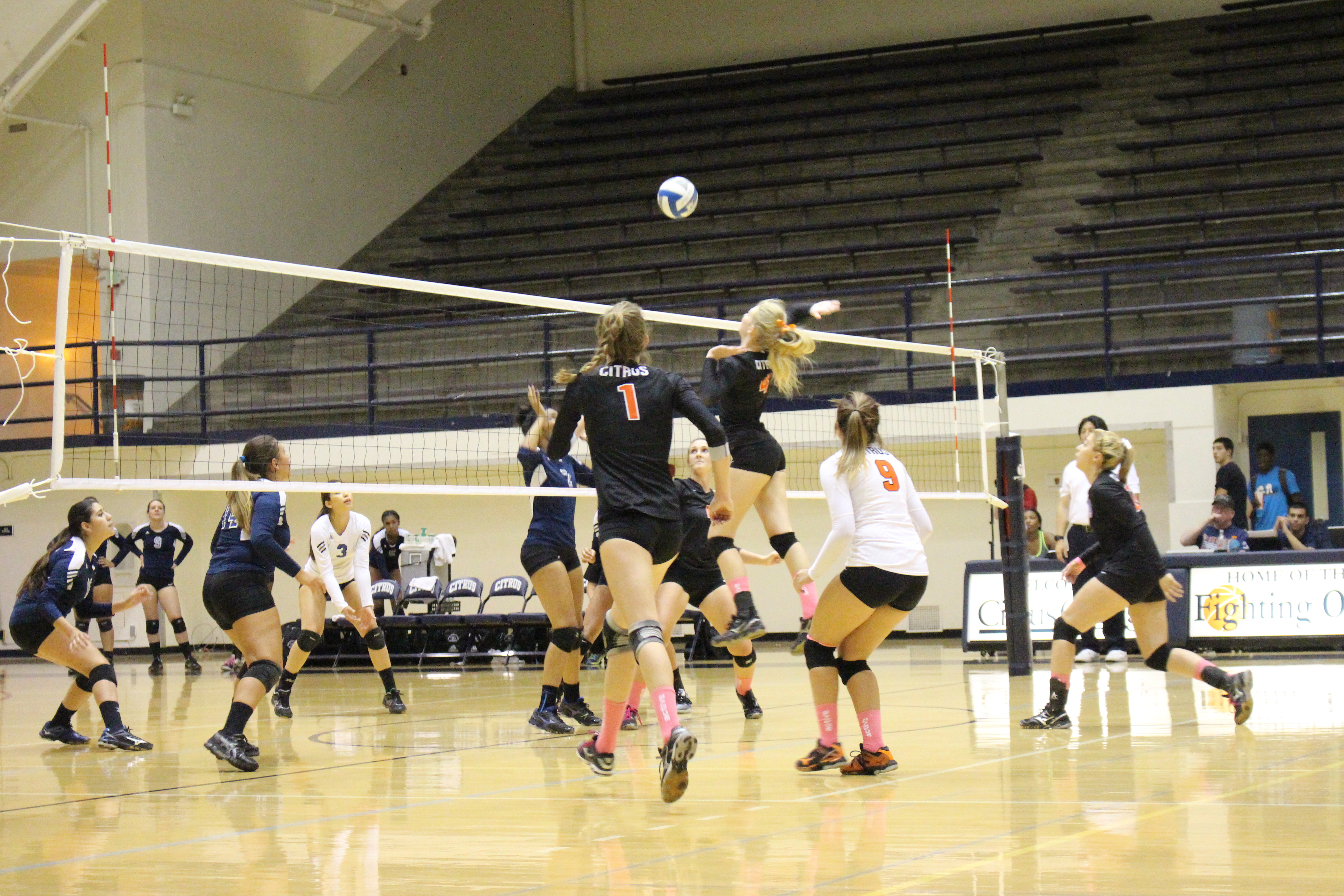 Owls volleyball get swept up