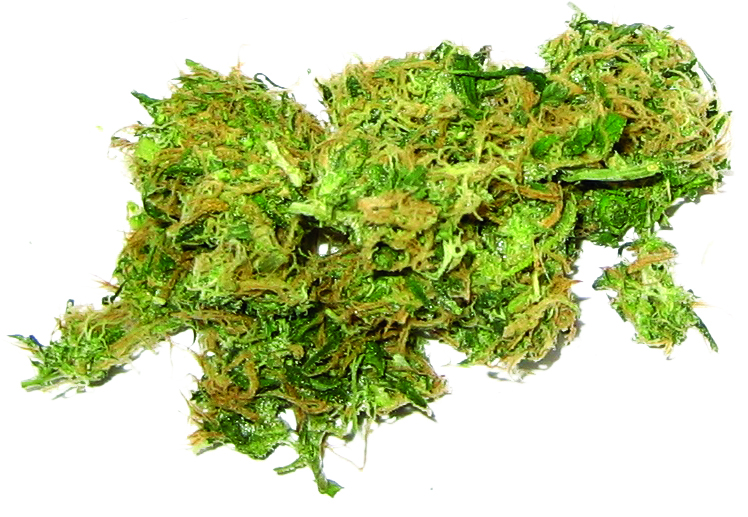 Keep off the grass: New methods to fix a ‘chronic’ problem