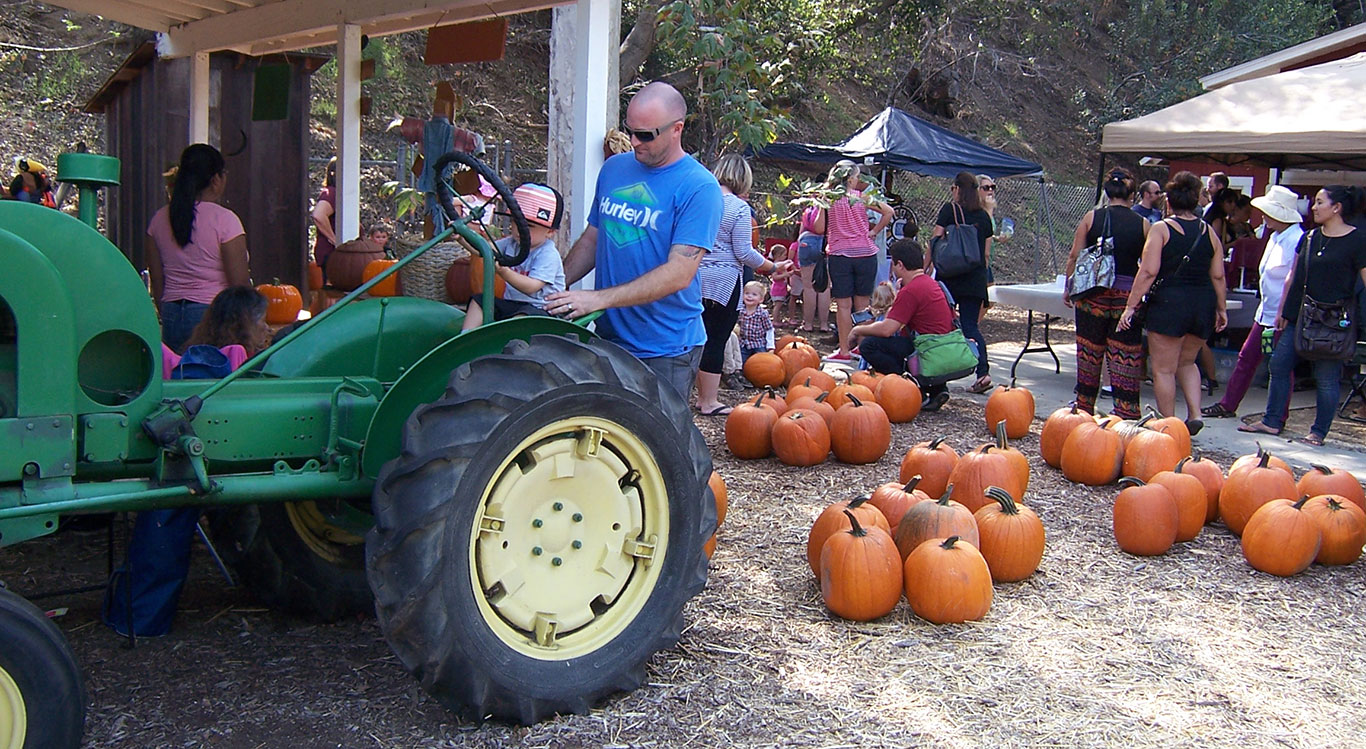 Pumpkin Festival a blast from the past
