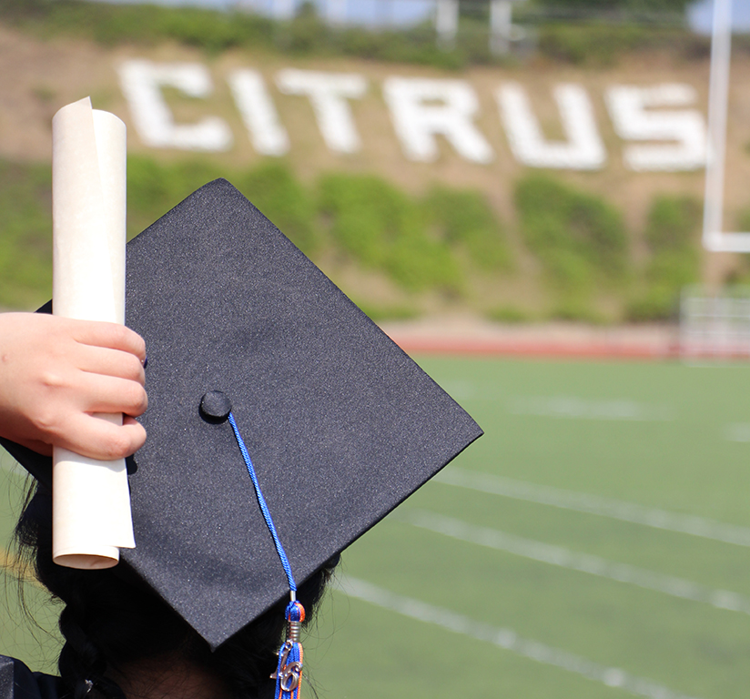Letter to the Editor: Graduation