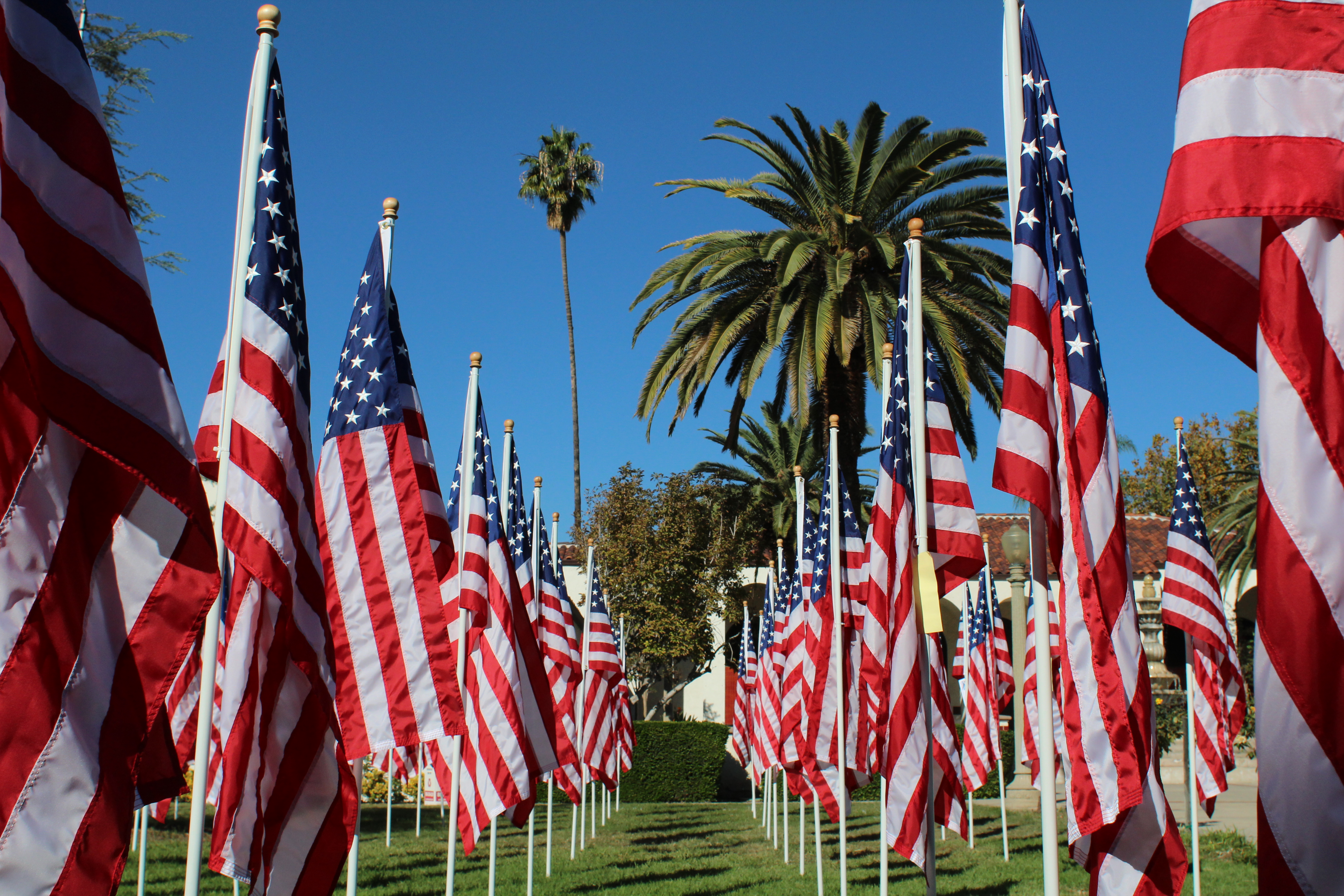 Opinion: Man Down: Surviving after War