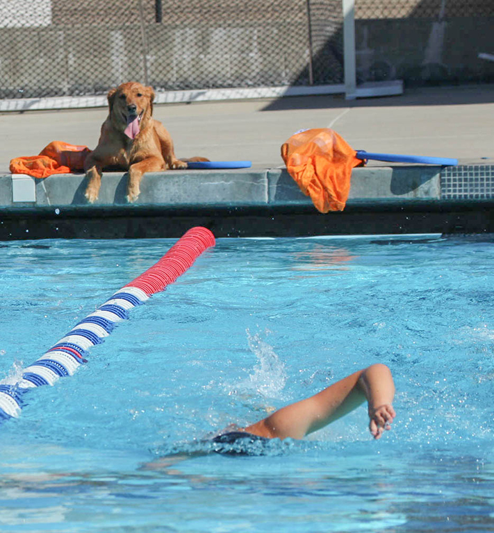 Ruff waters: Unlikely mascot cheers on aquatics