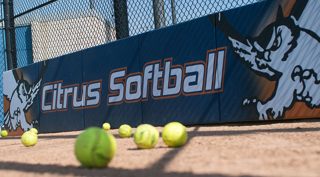 Softball team finishes strong after slow start