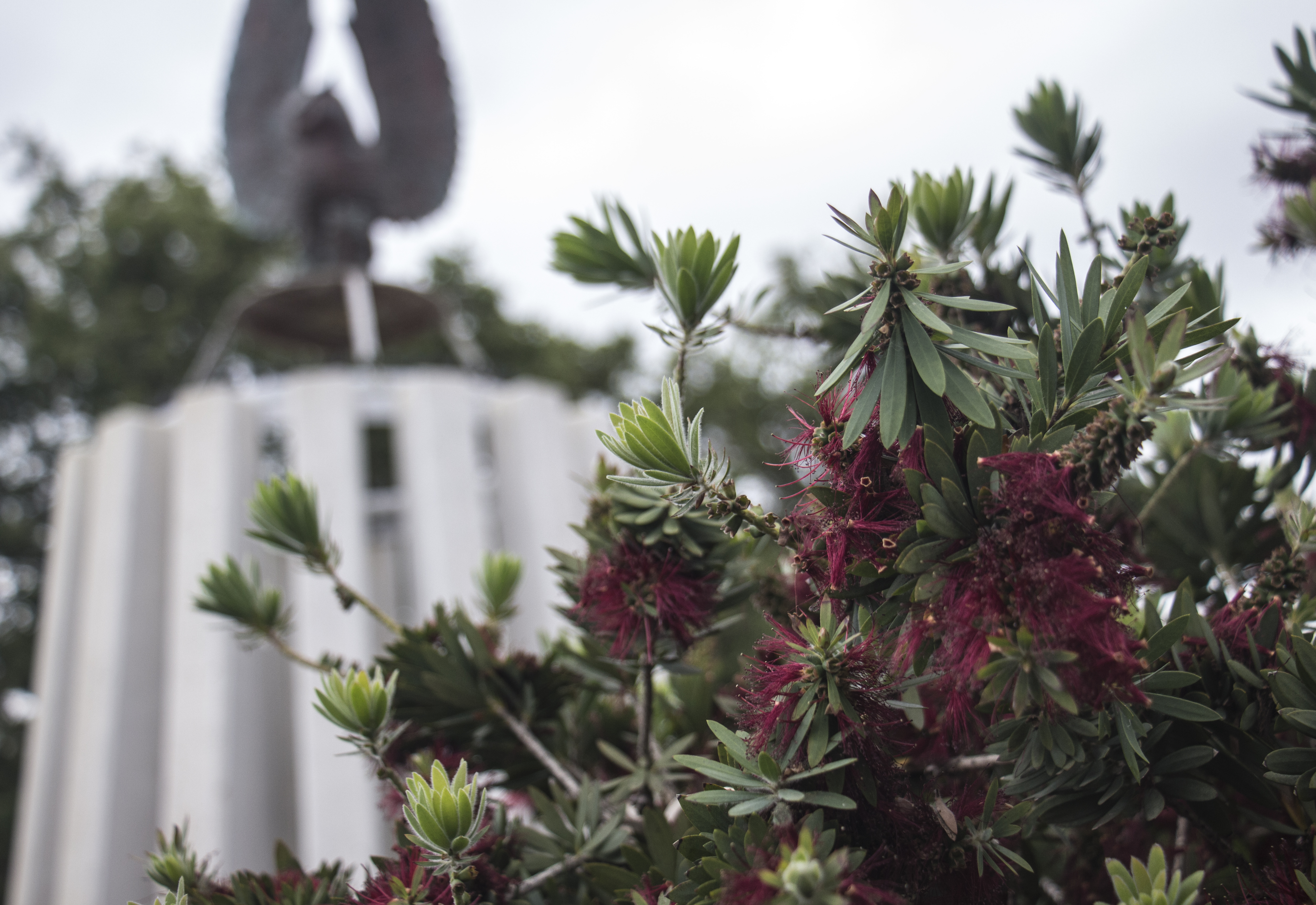 Opinion: The Last Rites of Spring: Xeriscape plans for Campus