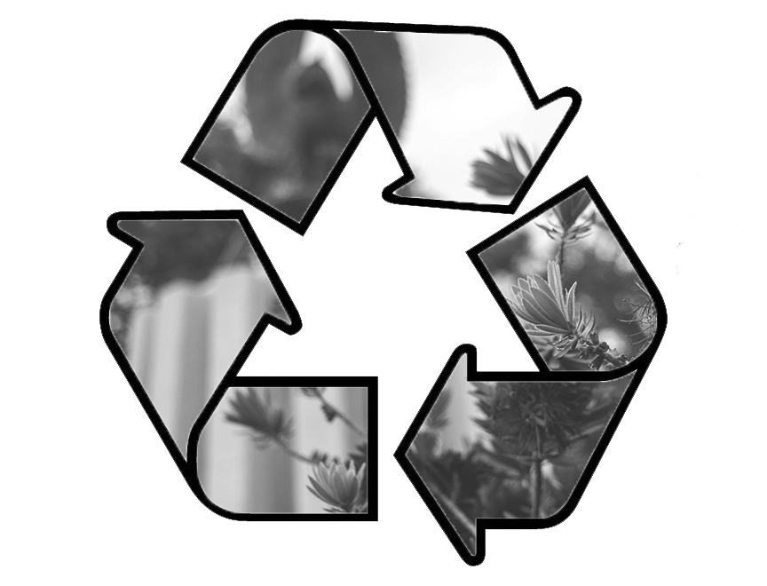 Where are the recycling bins?