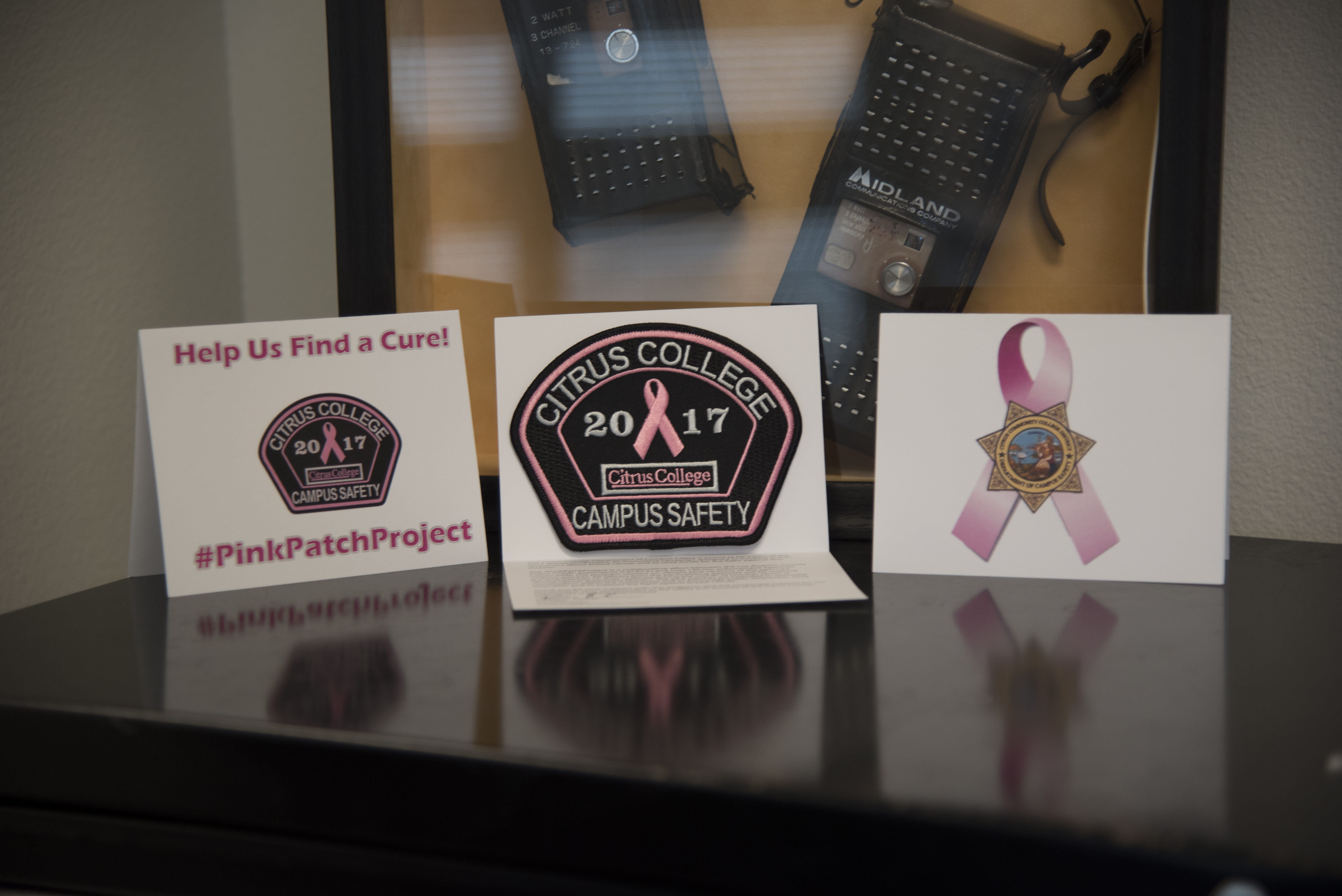 Pink is the New Blue: Campus Safety Supports Breast Cancer Awareness
