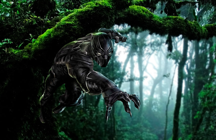 Black Panther inspires viewers during Black History month