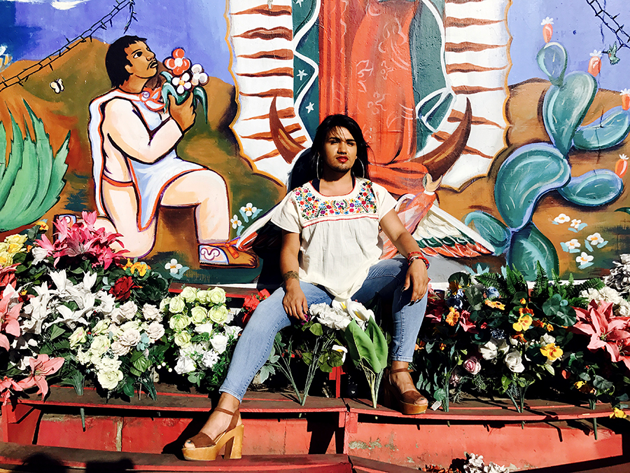 Alumna runs for president of UC Berkeley
