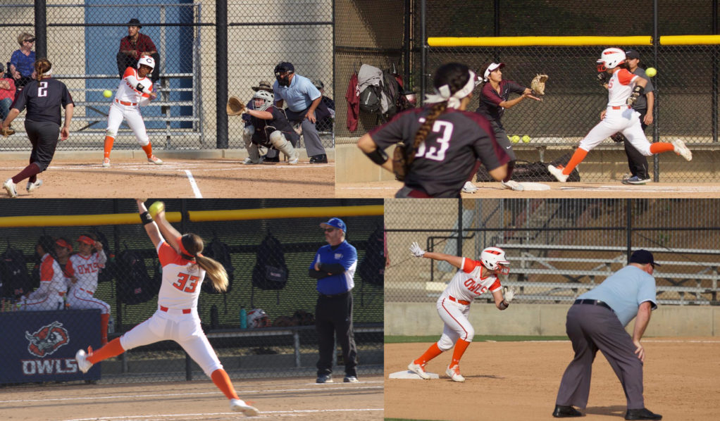 Citrus softball ends their season on a good note