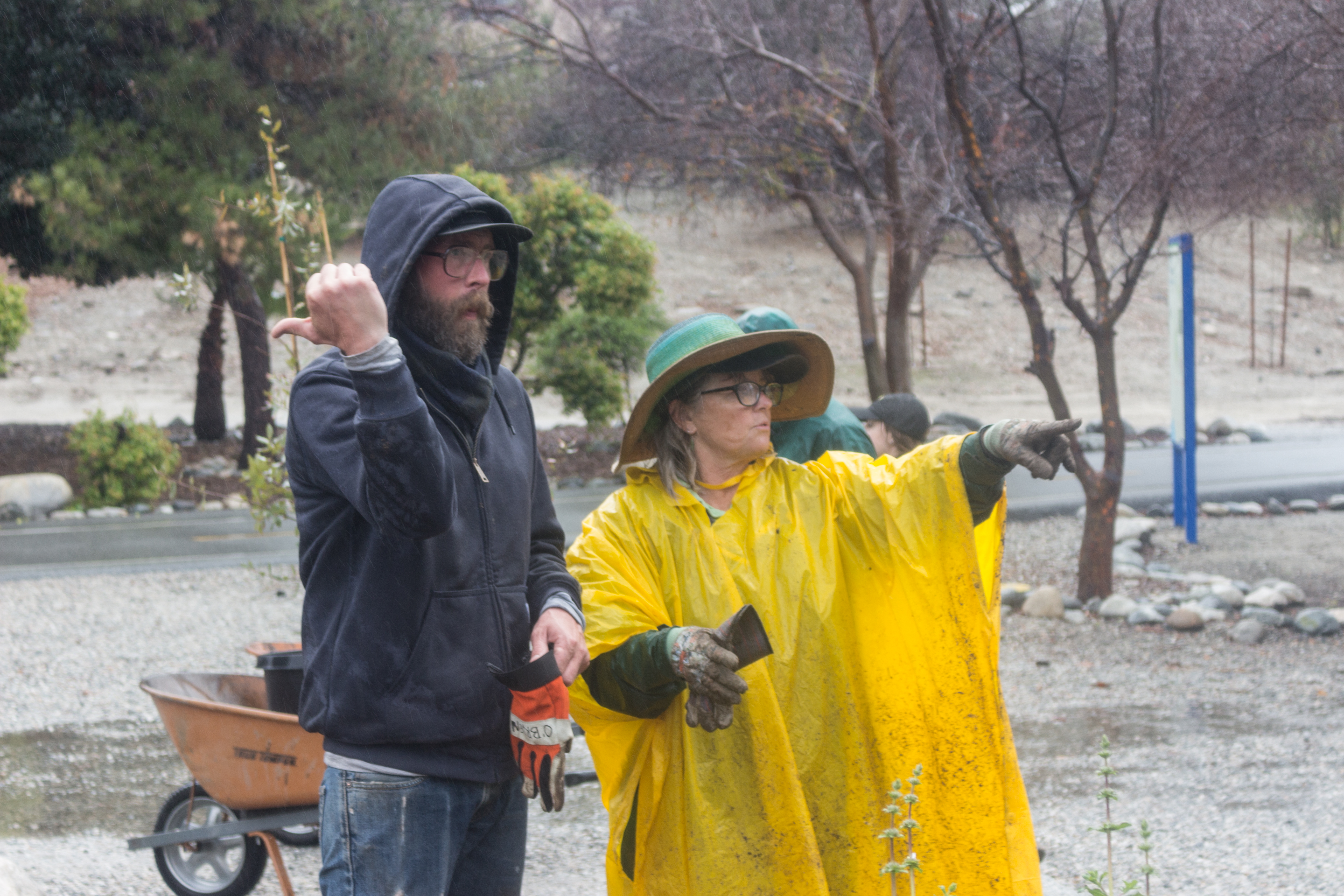 Volunteer project contributes to nature preservation