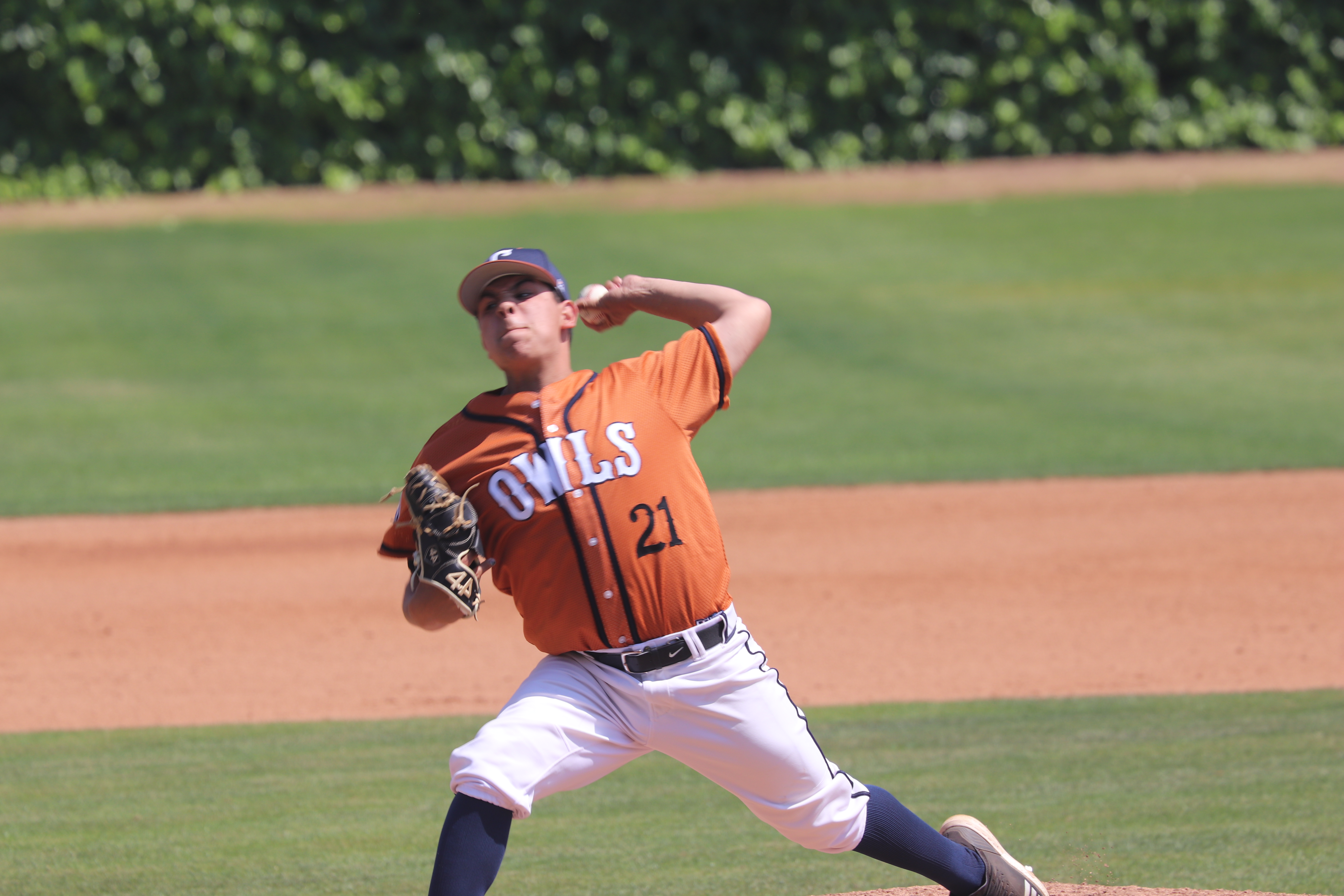 Relief pitching wins series for Owls