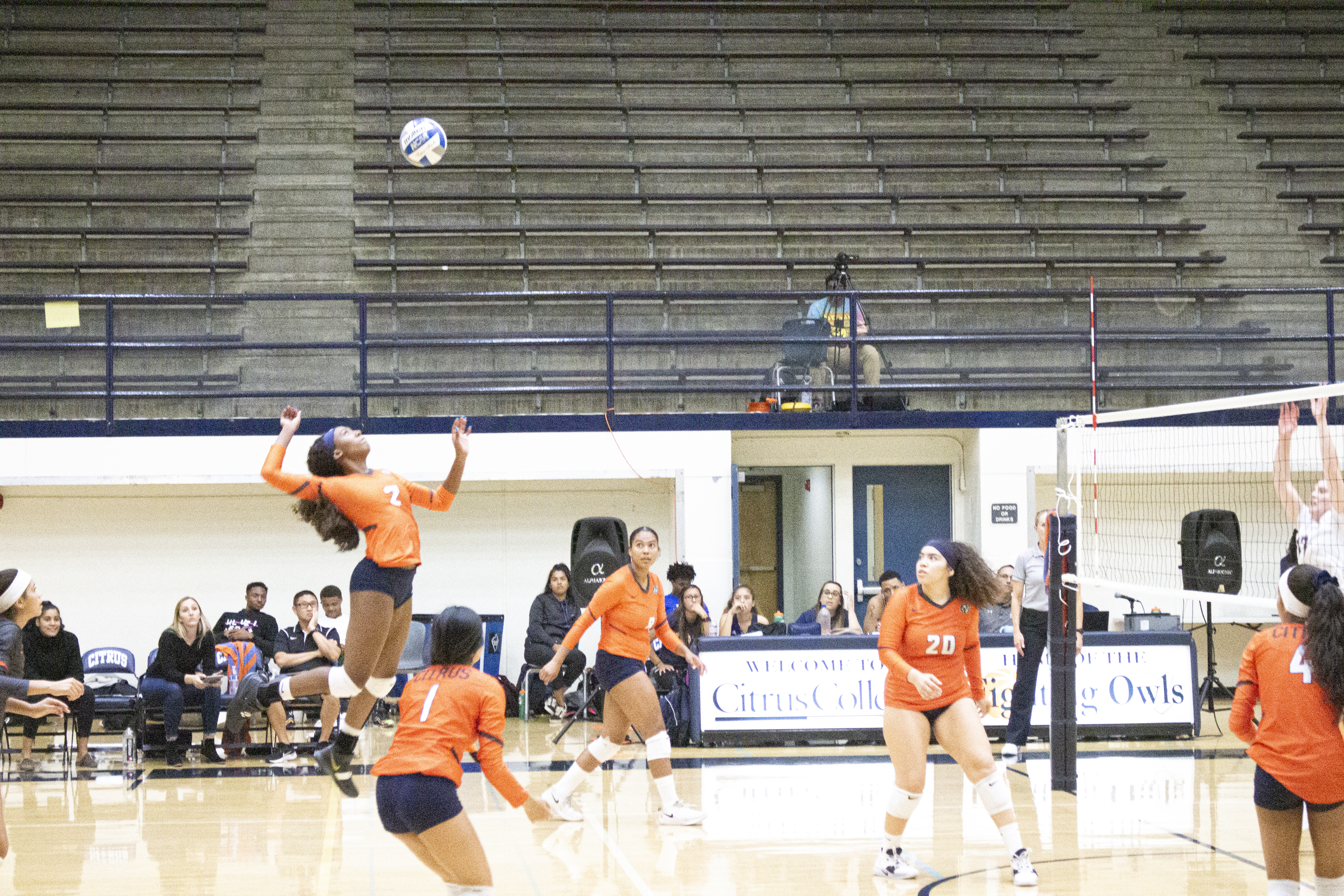 Citrus Owls volleyball fallsto Antelope Valley