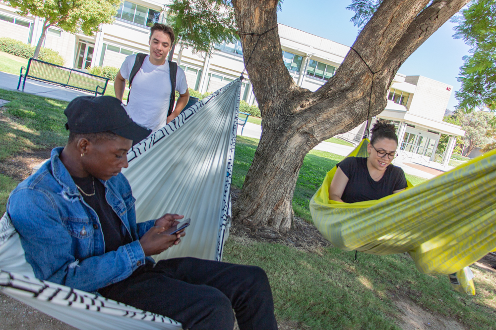 Students hang hammocks between trees