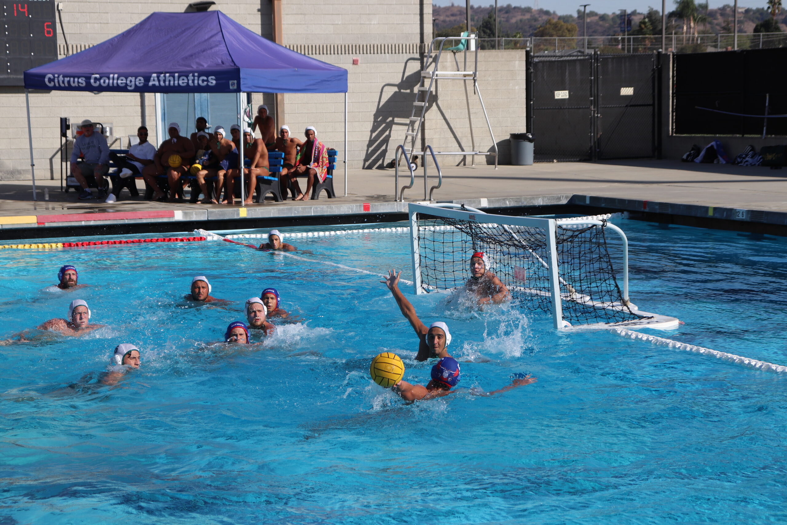 Men’s water polo at Citrus College off to a hot start