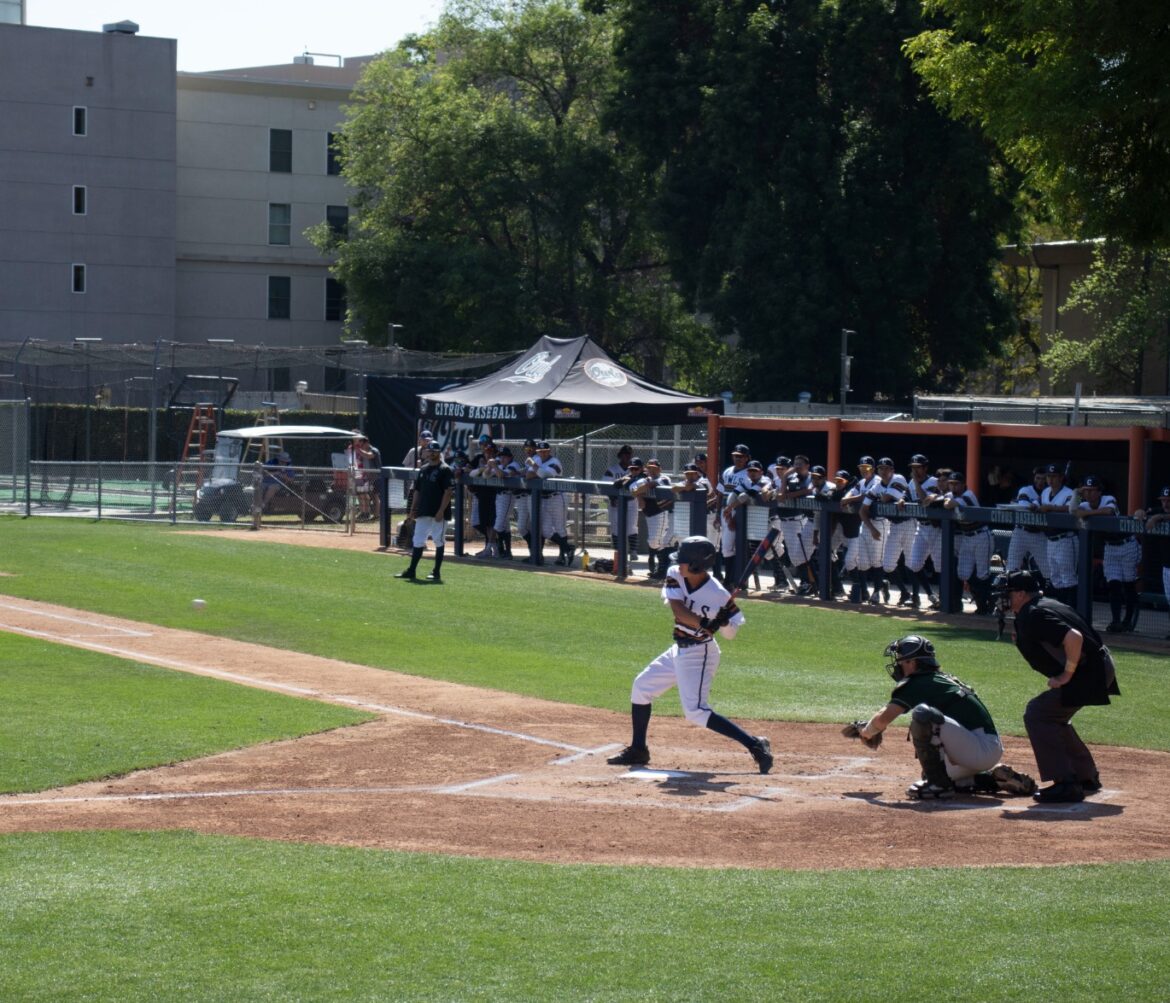 Owls baseball finding their stride as conference play begins