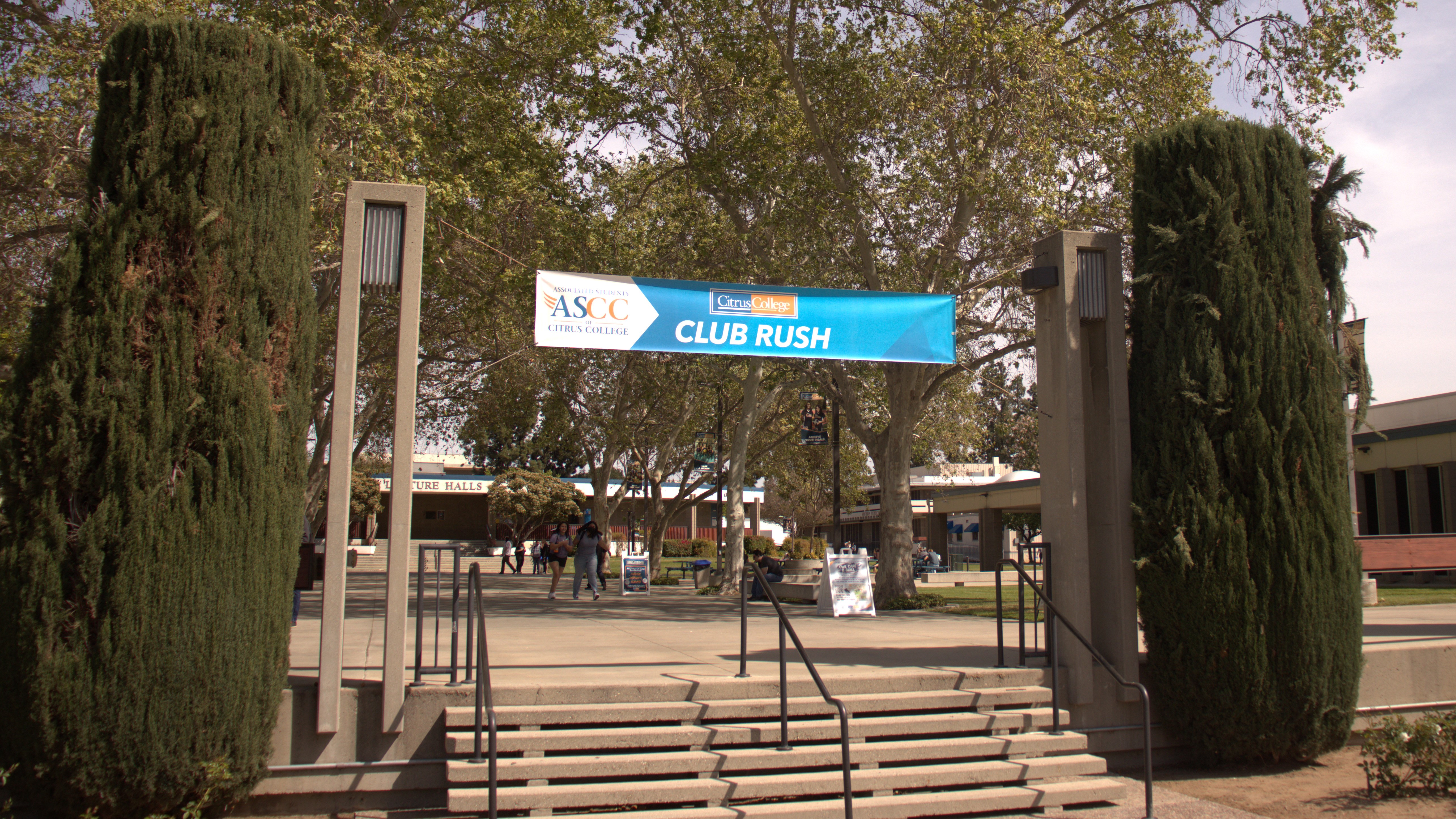 Club Rush returns this week