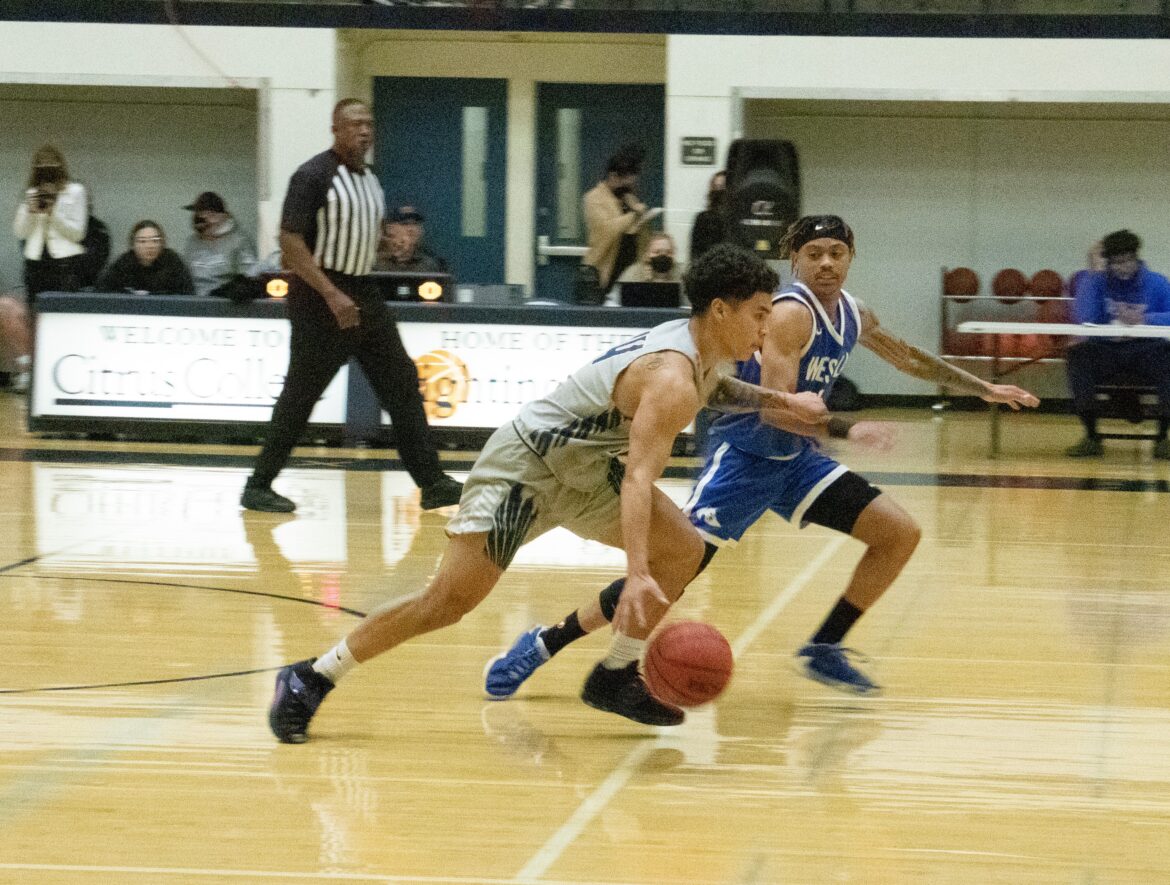Owls battle Ventura Pirates in playoffs