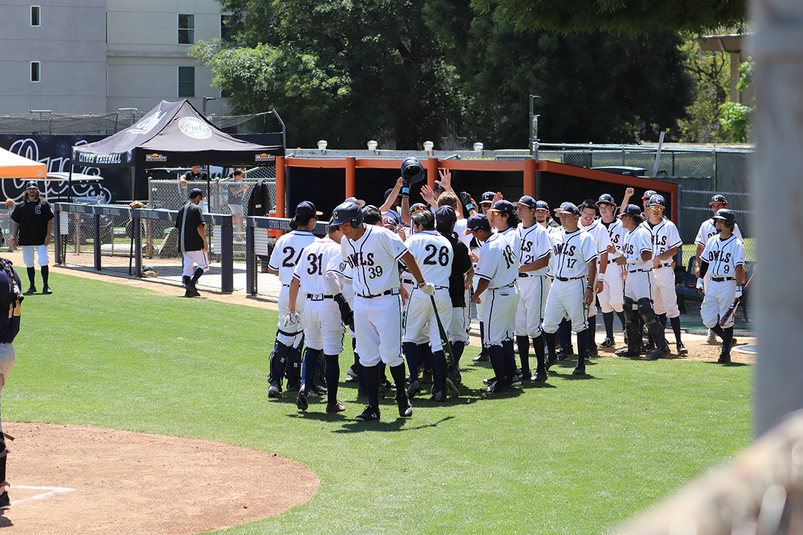 Citrus spring sports round-up