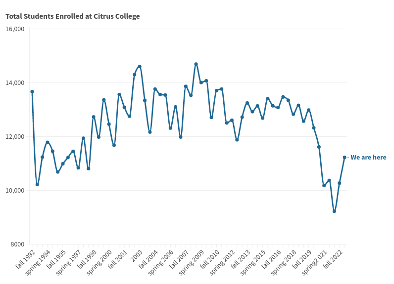 Citrus enrollment bounces back