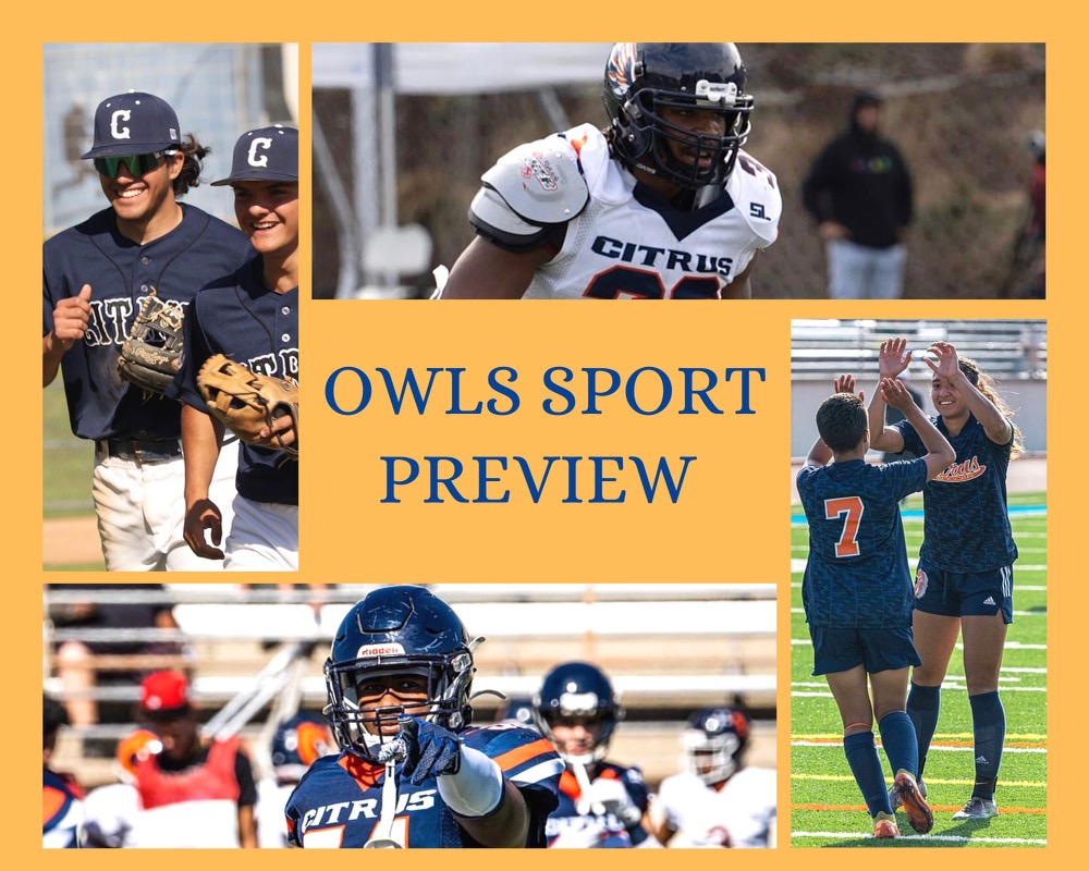Citrus Owls: Sports Preview