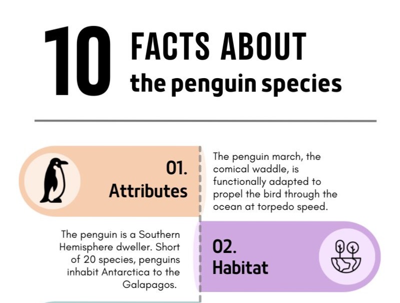 Graphic: Facts about the penguin species