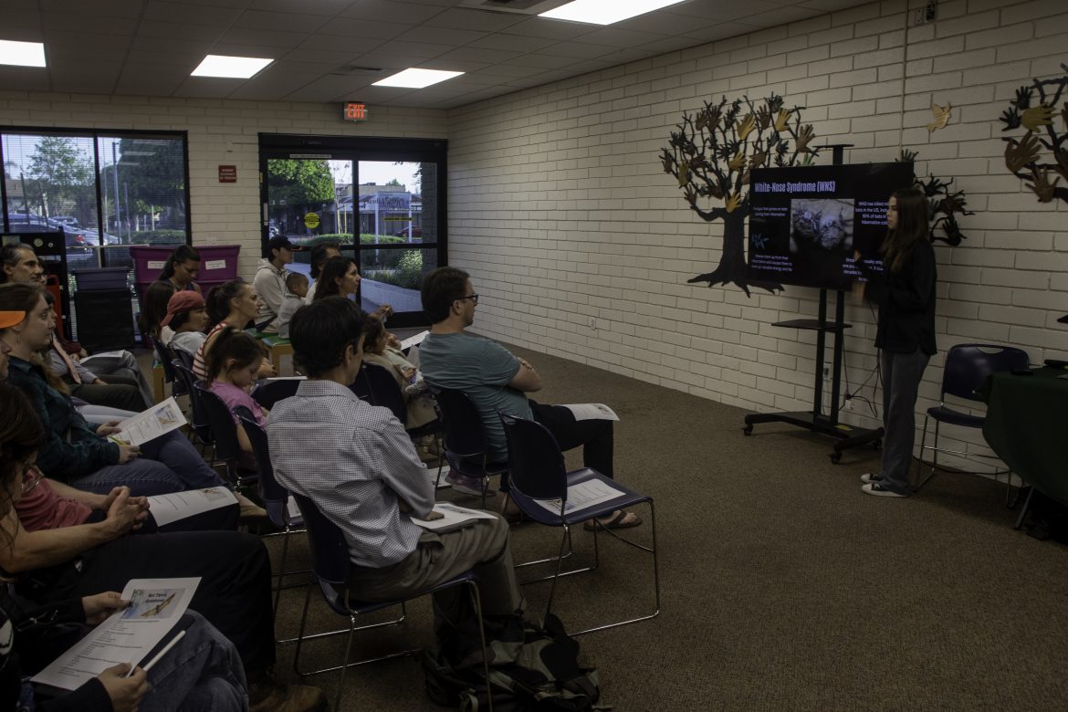 Twilight Flight: Glendora Public Library hosts a bat signal for conservation awareness